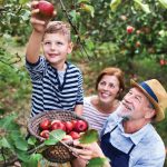 NLB banka pokrenula konkurs za organske proizvođače 