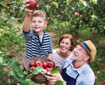 NLB banka pokrenula konkurs za organske proizvođače 