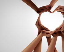 Donacija MSD Srbija u borbi protiv Covid 19