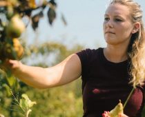 Reklamna podrška iz ugla privrednika: veća vidljivost i prodaja, prilike za partnerstva