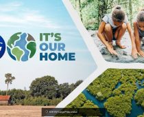 P&G usvaja prirodna klimatska rešenja: Za 10 godina sve operacije bez emisije ugljen dioksida