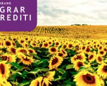 Komercijalna banka najuspešnija u isplati subvecionisanih agro kredita