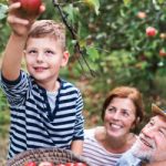 Produžen rok za dostavu projekata na NLB Organic