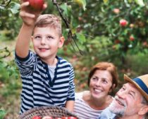 Produžen rok za dostavu projekata na NLB Organic