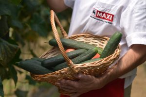 Cover Sveze voce i povrce sa domacih gazdinstava