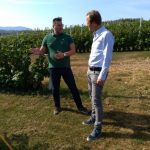 Sa lokalnih njiva do rafova velikih supermarketa