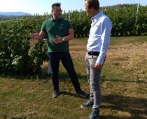 Sa lokalnih njiva do rafova velikih supermarketa