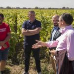 Uzgajivači duvana zadovoljni prinosom