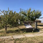 ProCredit banka podstakla ulaganja u arheološki lokalitet Vinča