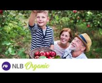 Završen NLB Organik konkurs – Milion i po dinara proizvođačima organske hrane
