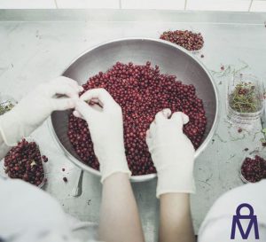 moritz-eis-sladoled1