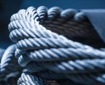 Kako srpska jabuka stigne sveža na drugi kraj sveta