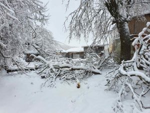 PKS POMOC JUGSRBIJE (2)