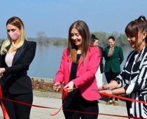 Ozelenjavanjem grada do čistijeg vazduha  