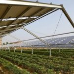 Fintel Energija i MK Group ulažu u održivu proizvodnju hrane i energije iz obnovljivih izvora