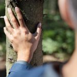 Kompanija Tetra Pak objavila 22. Izveštaj o održivom razvoju