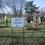 Ariel podržava Divac Fondaciju u sadnji drveća