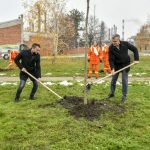 Zaposleni NIS-a zasadili u Pančevu 500 sadnica javora i platana
