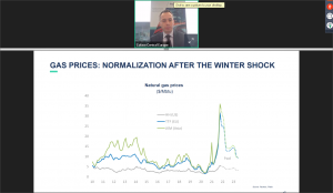 Gžegož Šelevič na vebinaru 26.januara