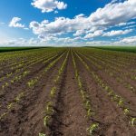 Anketa PKS: Troškovi najviše rastu u poljoprivredi i drvnoj industriji