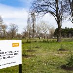 U parku “Ušće” 96 novih sadnica – poklon kompanije Stihl