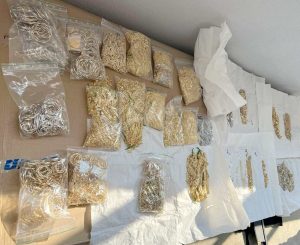 Carinici otkrili 11,6 kilograma zlatnog nakita