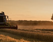 BANCA INTESA UVELA U PONUDU EE FARMER INVEST KREDIT