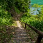 Eurobank Direktna donirala 1,5 miliona dinara za uređenje lokaliteta Nacionalnog parka Tara