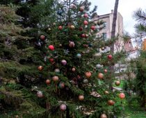 McDonald’s jelka pobednik u akciji „Novogodišnja humanitarna bašta“