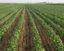 3 Banka i američka korporacija DFC kreditiraju preduzetnike i poljoprivredu