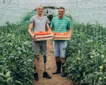 Erste Banka odobrila preko pet miliona evra za više od 500 početnika u poslovanju