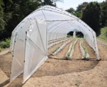 Raspisan konkurs za dodelu plastenika poljoprivrednim gazdinstvima u opštini Lučani