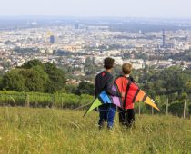 Beč beleži porast broja stanovnika – najviše se doseljavaju iz Nemačke, Rumunije, Mađarske, Bugarske i Italije