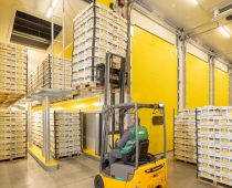 Prvi EU Taxonomy sertifikat u Srbiji dodeljen MAXI zreonici banana u Dobanovcima