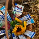 Nestlé objavio finansijske rezultate za prvi kvartal 2026: organski rast 3,5% na nivou grupe, a u Srbiji dvocifreni rast