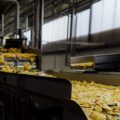 PepsiCo fabrika u Magliću: 30 godina rasta, partnerstva i razvoja