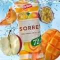Sorbet – sladoled sa samo 72 kalorije koji će biti hit ovog leta!